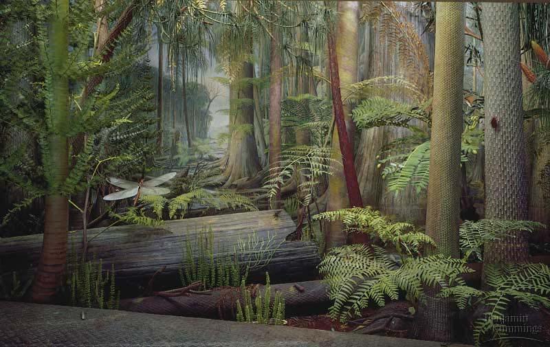 Early Pteridophytes: Tree Ferns