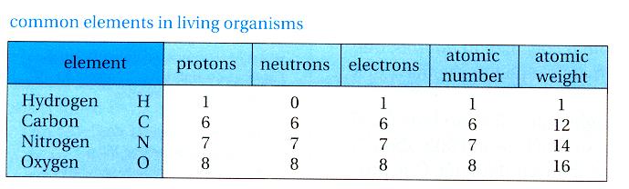 nucleus Protons () Neutrons (o)