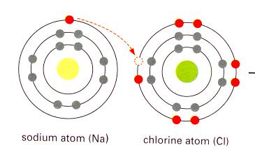 Ionic Bonding: Theft Theft & Abandonment (Na) (Cl) (Na ) (Cl - ) An anion Is negatively charged