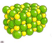 SPECIES No longer atoms: IONS Attraction between ions is very strong An ionic bond Is an