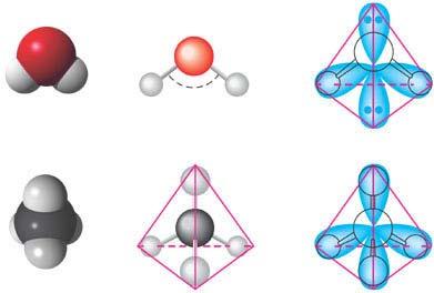 The single s and three p orbitals of a valence involved in covalent bonding combine to form four teardrop-shaped hybrid orbitals.