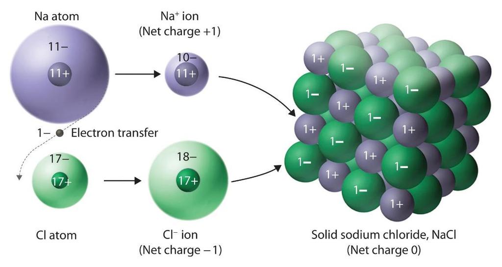 12. In the spaces provided below, draw the electronic configurations of sodium a fluorine after they have reacted to obtain the electronic configurations of a noble gas.