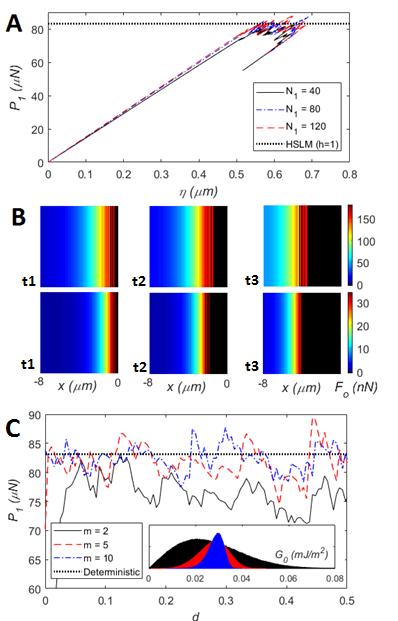 Figure 4: A. Force vs. displacement plots during detachment for different contact array numbers and sizes. B.