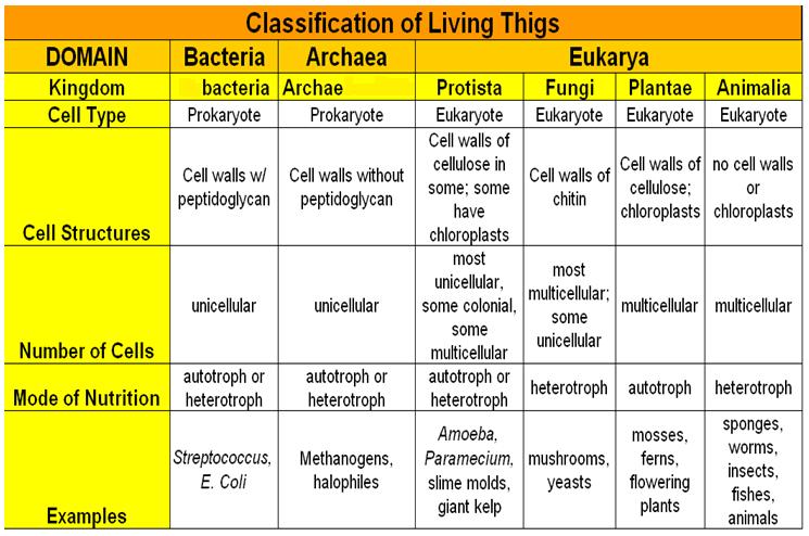The Three-Domain System describes classification as: Not all prokaryotes are closely related (not monophyletic) Prokaryotes split early in the history of living things (not all in one lineage)