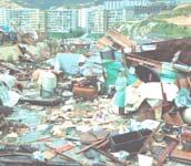of Typhoon Hope in 1979.