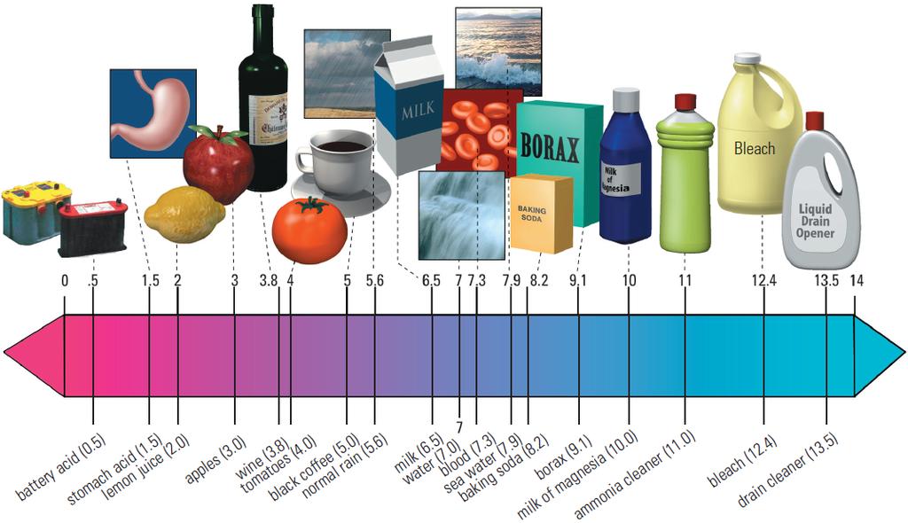Acids & Bases: The ph Scale ph Scale ph Scale