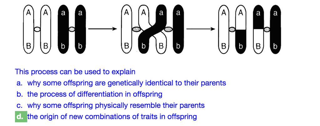 B) Crossing Over: When the chromosome pairs (one chromosome from mom.