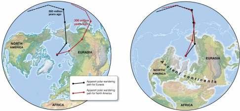 Evidence for Plate Tectonics Apparent polar wandering