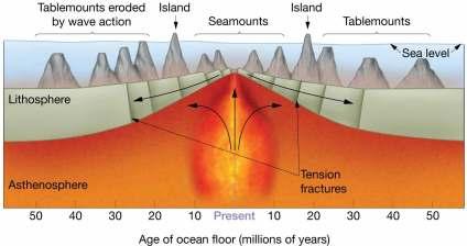 Plate Tectonics and Intraplate Features Seamounts Rounded tops Tablemounts or guyots