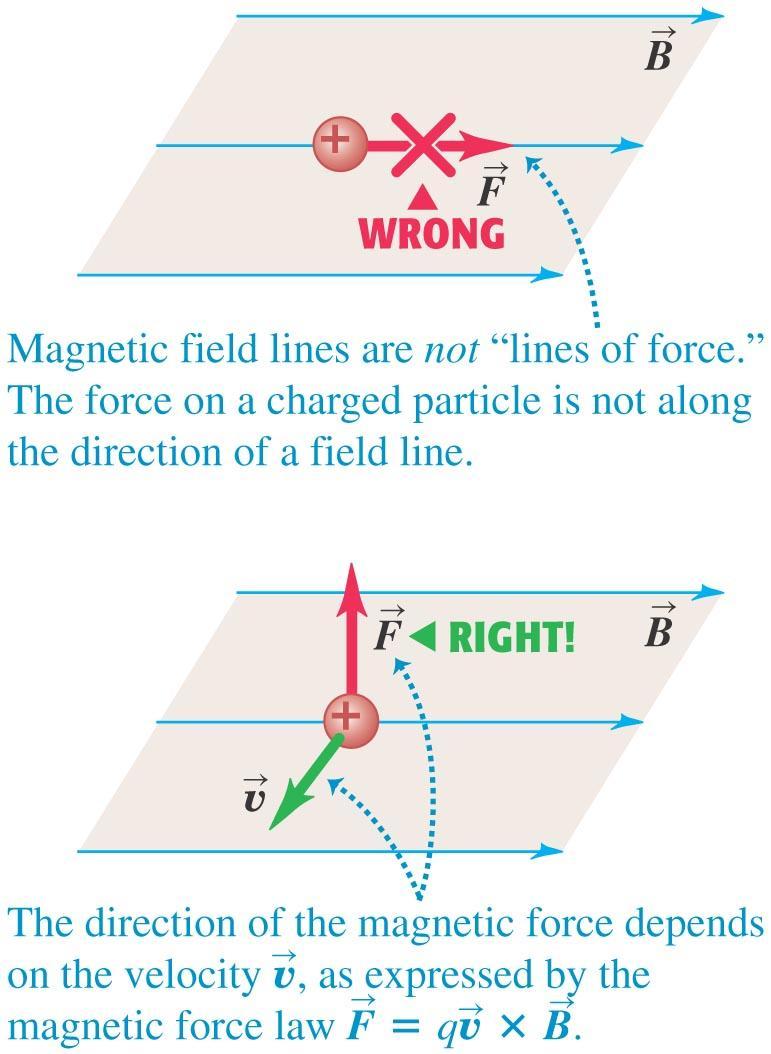 Field lines are not lines of force The lines tracing the magnetic field crossed