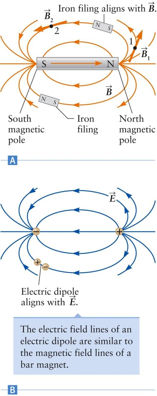 Magnetic Field Lines The magnetic poles are indicated at the ends of the bar magnet Called north and south The magnetic poles are