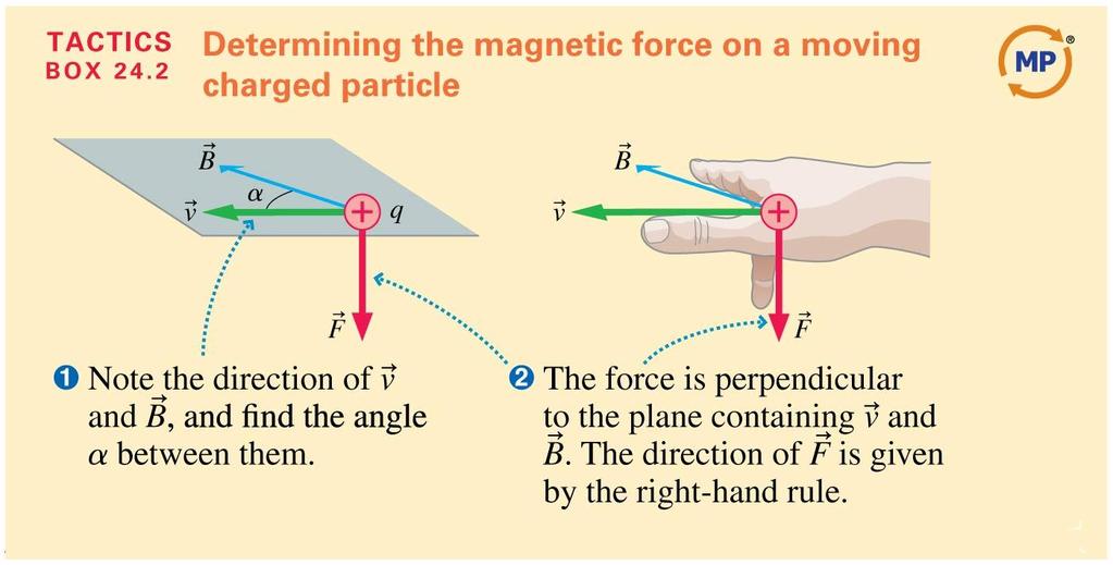 Magnetic Fields Exert Forces on