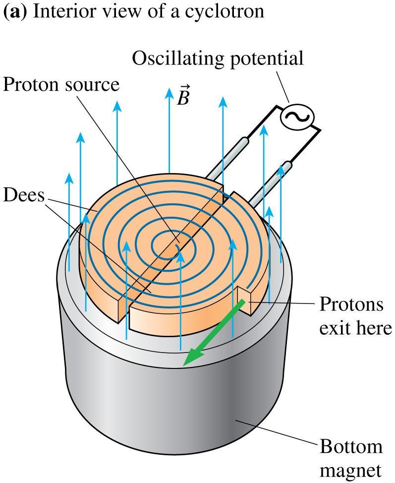 The Cyclotron A cyclotron consists of an evacuated chamber within a large, uniform magnetic field.