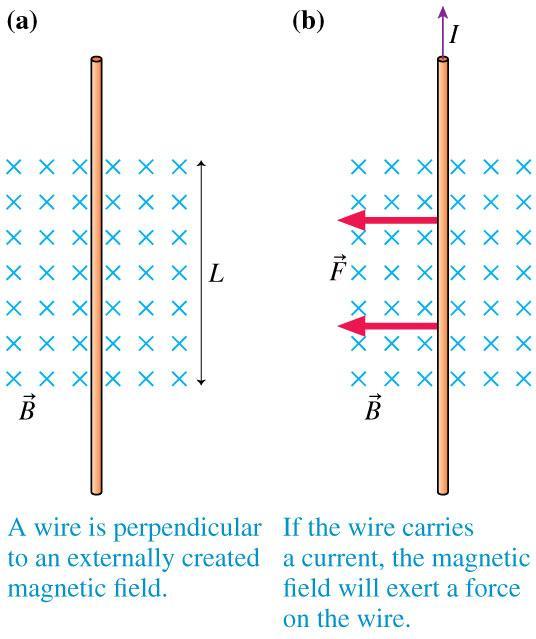 The Form of the Magnetic Force on a Current There is a force on a