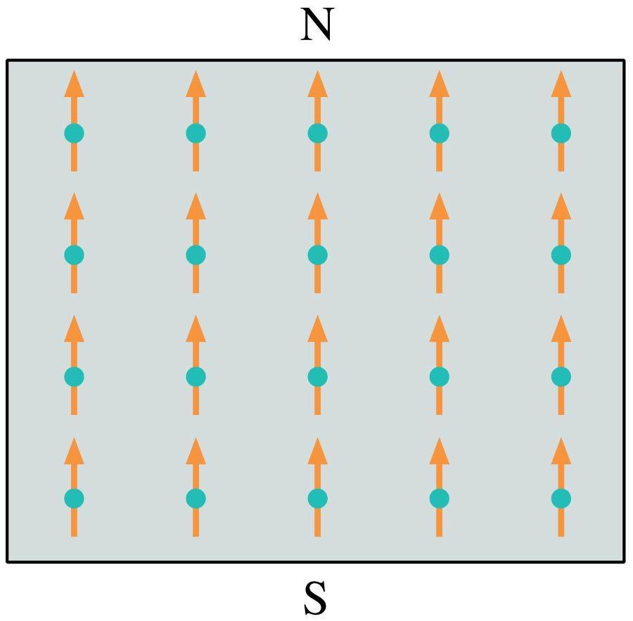 Ferromagnetism Ferromagnetic materials have atoms with net magnetic moments that tend to line up and reinforce each other.