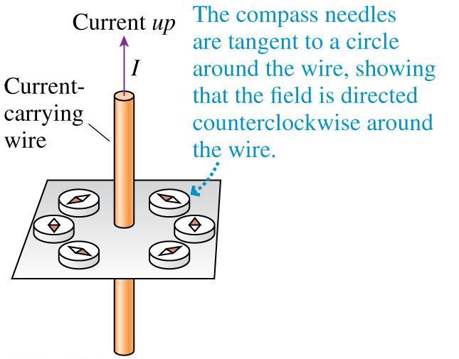 The Magnetic Field of a Straight, Current- Carrying Wire The iron