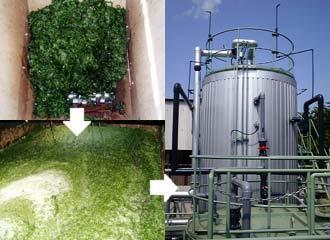 KMPS and Bio-Technology Recently large emphasis on production of chemicals from biomass (fermentation, algae) Many Bio-Technology companies need help developing