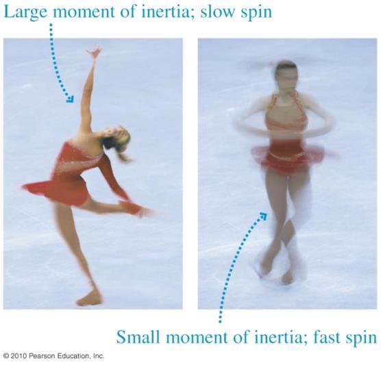 she brings her arms in or out. When she brings her arms in, her moment of inertia decreases, so her angular speed increases as her angular momentum stays constant.