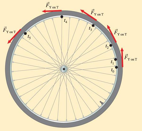 Torque and Rotational Acceleration When you push lightly and continuously on the outside of the tire in a counterclockwise (ccw) direction tangent to the tire, the