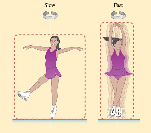 Rotational Momentum A figure initially spins slowly with her leg and arms extended. Initial rotational inertia is large and ωis small.