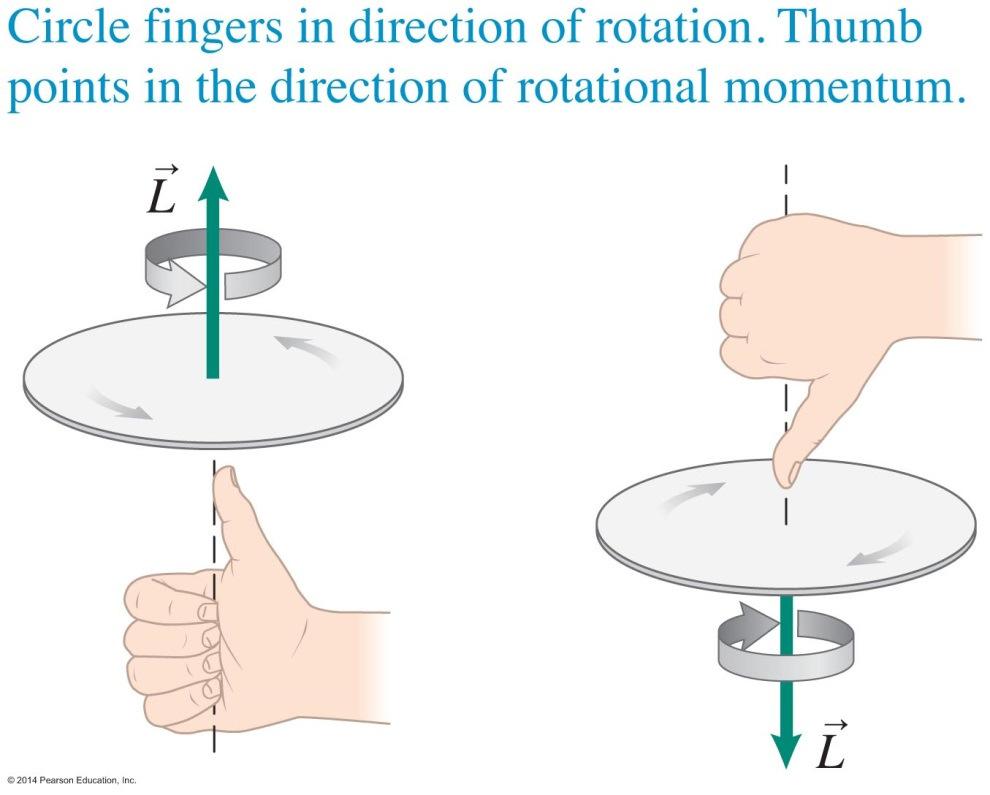 Rotational Momentum is a Vector Rotational velocity and momentum are vector quantities.