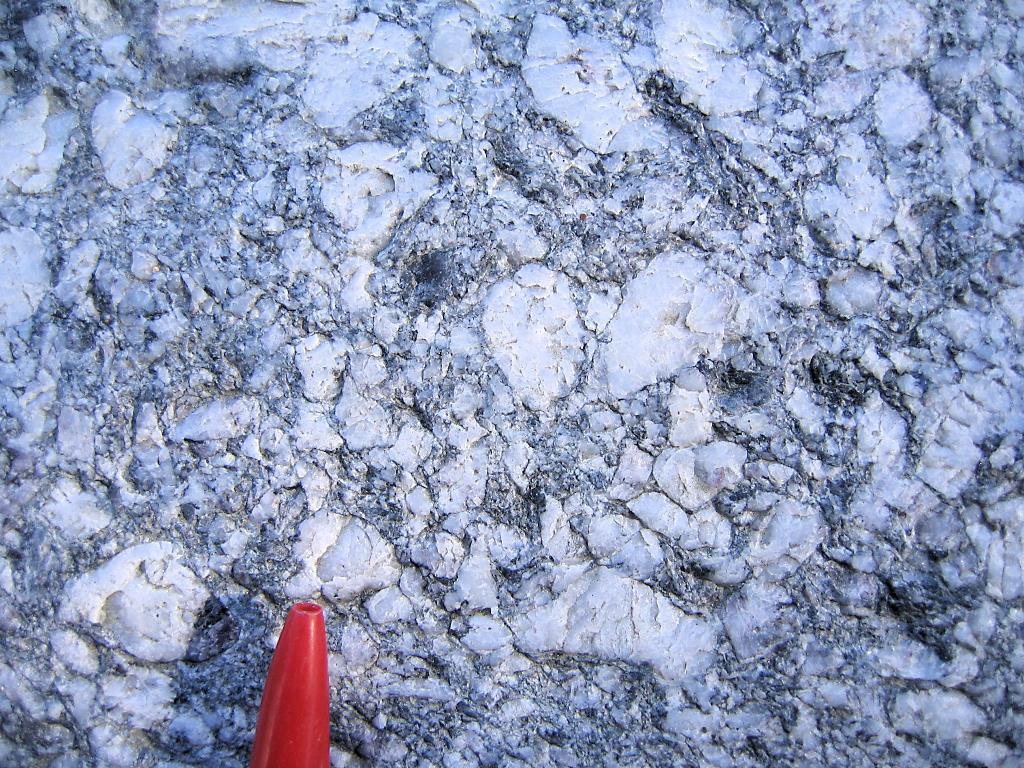 Color: Light-gray. Texture: Conglomeratic texture, wide range of clast sizes, mostly rounded, weakly foliated. Grain size: Clasts range in size from 1 to 30 mm across.