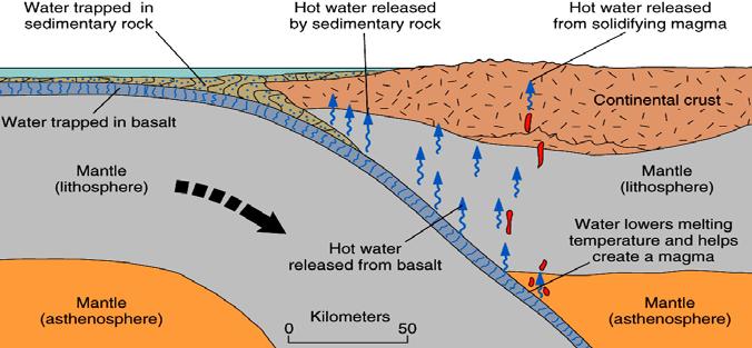 Addition or removal of fluids (and elements) Water (and other fluids) within rocks and minerals Moving during metamorphism Accelerates solid-state state chemical reactions and May change rock