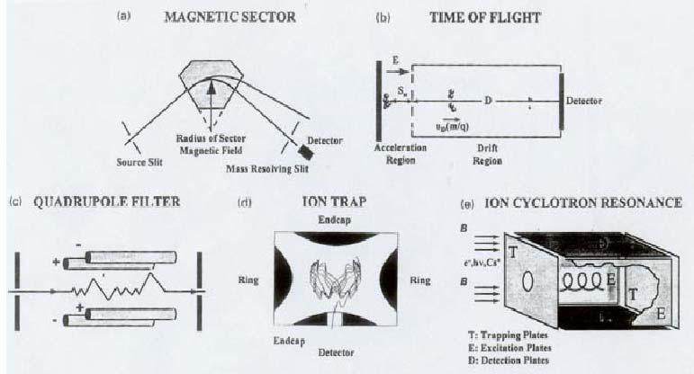 Mass Analyzer - Basic Types (a). Magnetic Sector Magnetic field affect radius of curvature of ions -> m/z (b).