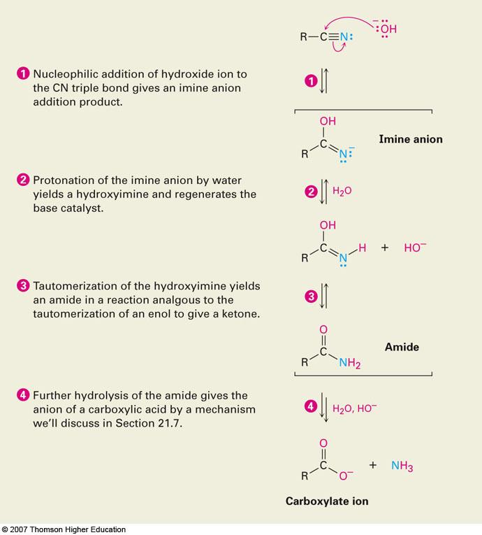 Mechanism of Hydrolysis of Nitriles Nucleophilic addition of hydroxide to C N bond Protonation gives a hydroxy imine, which tautomerizes
