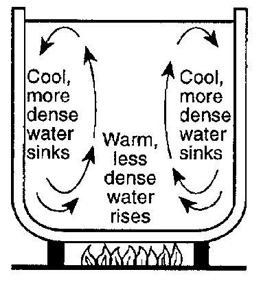 49. Which diagram correctly indicates why convection currents form in water when water is heated? 1) 2) 3) 4) 50.