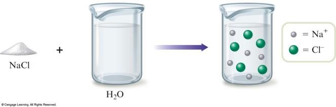 Solubility of Ionic Substances Ionic substances break up into individual cations and anions.