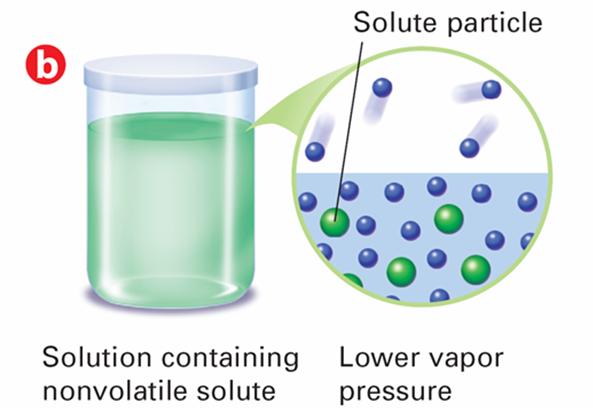 Equilibrium is established at a lower vapor pressure. 16.