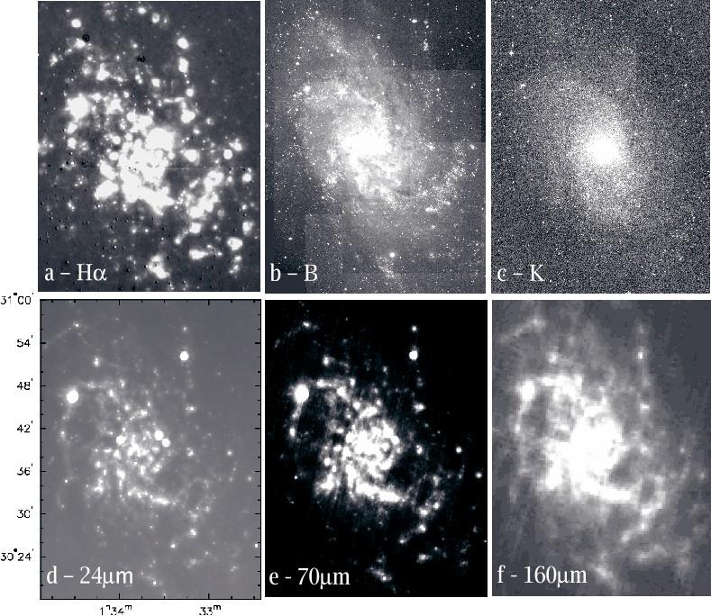 M33 in Six Bands HII regions The Hα, 24, and 70 µm (as well as 6cm radio) maps all show distinct spiral arms with nearly no bulge traced by