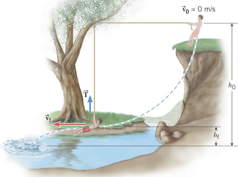 The Conservation o Mechanical Energy Conceptual Example: The Favorite Swimming Hole The person starts rom rest, with the rope held in the horizontal position, swings downward, and then