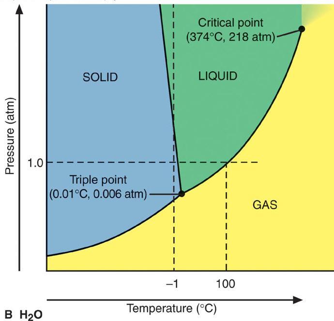 T CO 2 H 2 O solid gas solid liquid