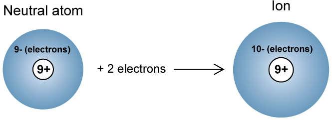 Periodic Trends: Ionic Radius Negatively charged ions: Larger than the parent atom.