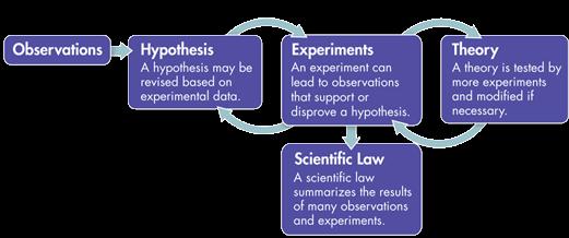 The Scientific Method Scientific Laws The figure below shows how scientific experiments can lead to laws as well as theories.