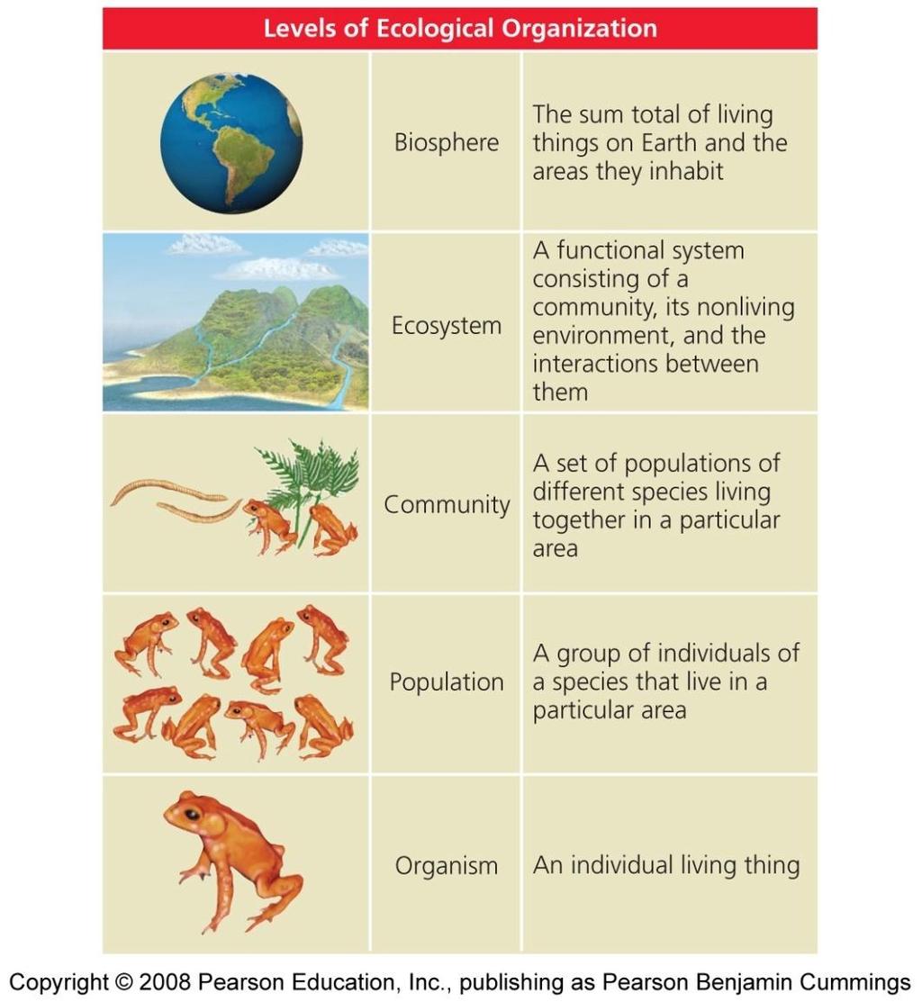 Ecology is studied at several levels Ecology and evolution are tightly intertwined Biosphere = the total living things on Earth and the areas they