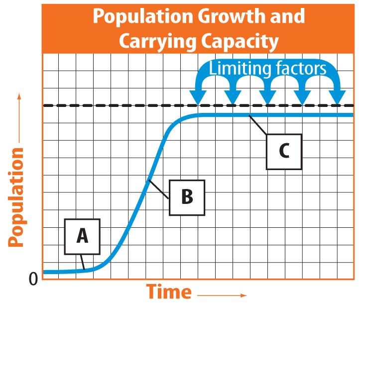 Population Sizes (cont.) Population density is the size of a population compared to the amount of space available. One way of estimating population density is by sample count. Population Sizes (cont.