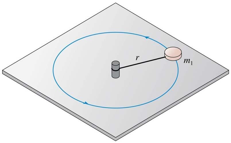 QuickCheck 8.3 An ice hockey puck is tied by a string to a stake in the ice. The puck is then swung in a circle. What force or forces does the puck feel? A. A new force: the centripetal force. B.