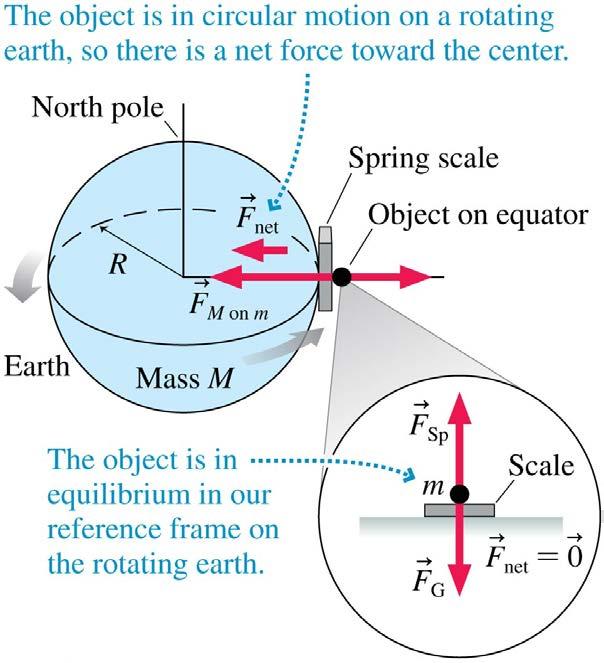 Gravity on a Rotating Earth The figure shows an object being weighed by a spring scale on the earth s equator.