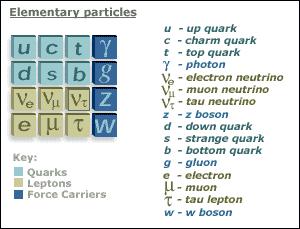 quarks Up quark (u) has charge +2/3 Down quark (d)