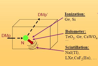Techniques for Detecting WIMPs Direct: The DM particle interacts in the volume of a detector, colliding with a nucleus, causing the nucleus to recoil and release energy in the detector.