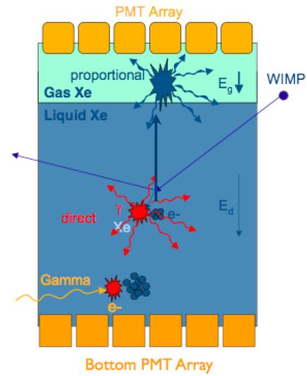 Direct detection experiments Search for WIMP recoils on nuclei Must be reduce background (deep