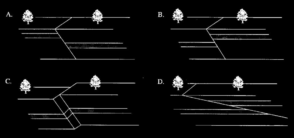 6. Which of the following block diagrams shows a left lateral strike-slip fault? 12.