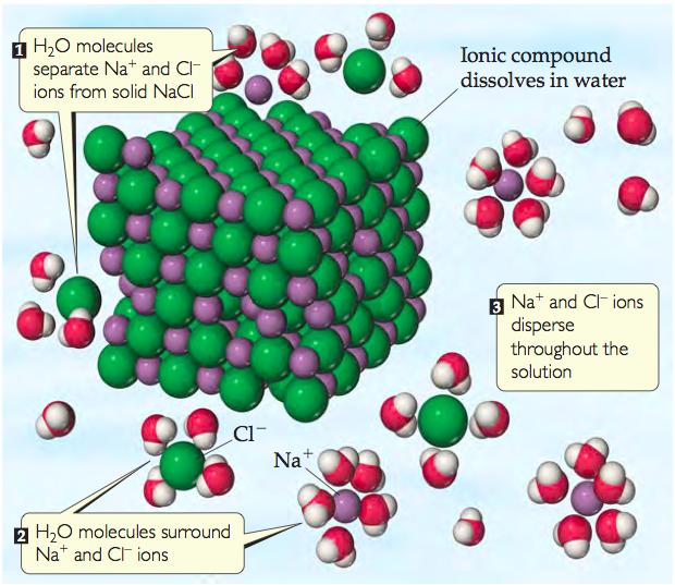 Ionic Compounds in Water Example: Solid NaCl consists of Na + and Cl ions.