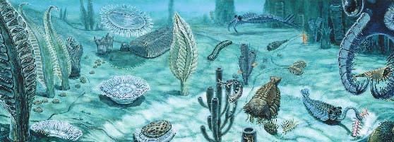 17 3 Evolution of Multicellular Life Section 17 3 Although the fossil record has missing pieces, paleontologists have assembled good evolutionary histories for many groups of organisms.