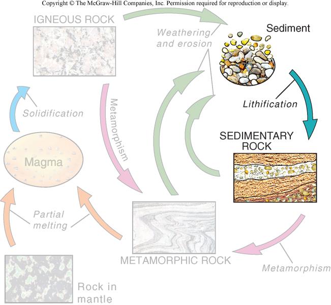 Sediment Sediment - loose, solid particles originating from: Weathering and erosion of pre-existing rocks Chemical precipitation from solution, including secretion by