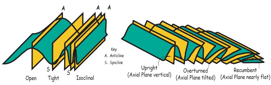 Folding Anticlines and synclines can take on slightly different geometries depending on the compressional forces that form them.