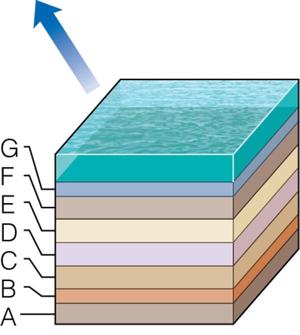 Relative Dating Methods Original horizontality states that sediment is originally deposited in horizontal layers.